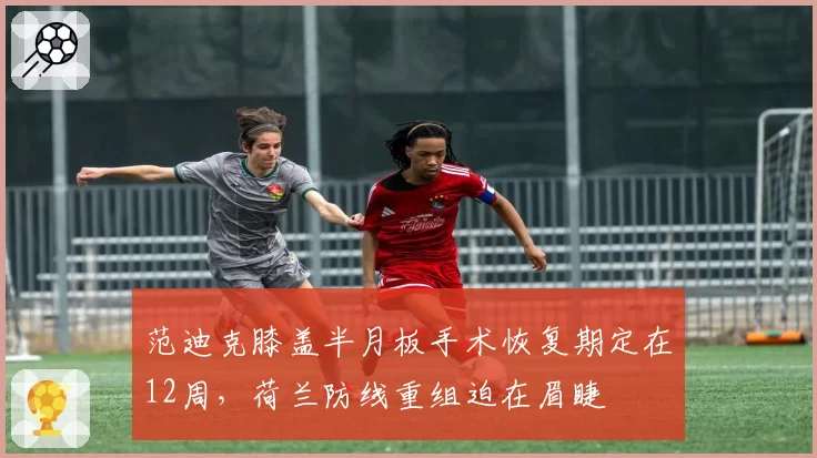 范迪克膝盖半月板手术恢复期定在12周，荷兰防线重组迫在眉睫