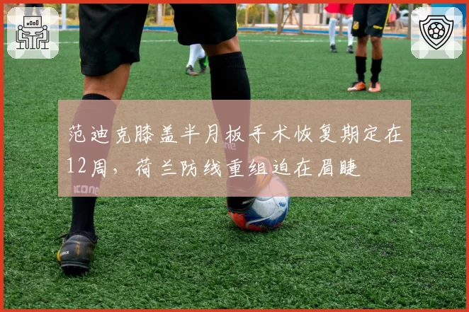 范迪克膝盖半月板手术恢复期定在12周，荷兰防线重组迫在眉睫