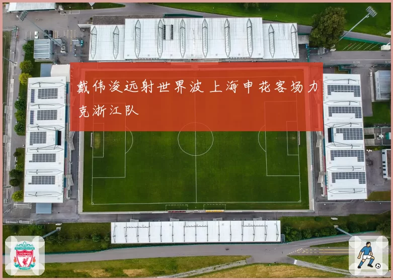 戴伟浚远射世界波 上海申花客场力克浙江队