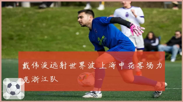 戴伟浚远射世界波 上海申花客场力克浙江队